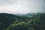Knuckles Mountain Range - Sri Lanka