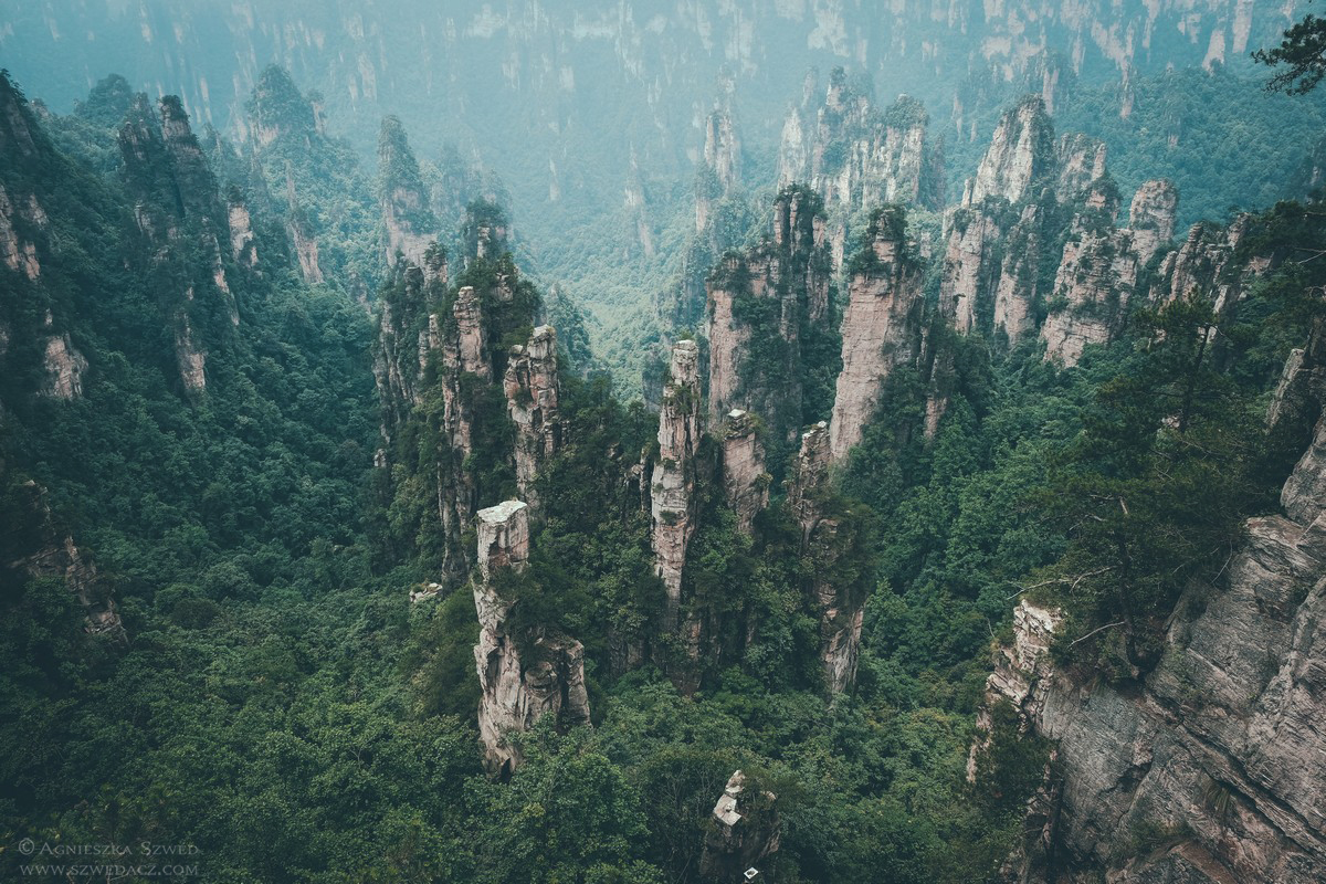 W Parku Narodowym Zhangjiajie rozsławionym przez film Avatar